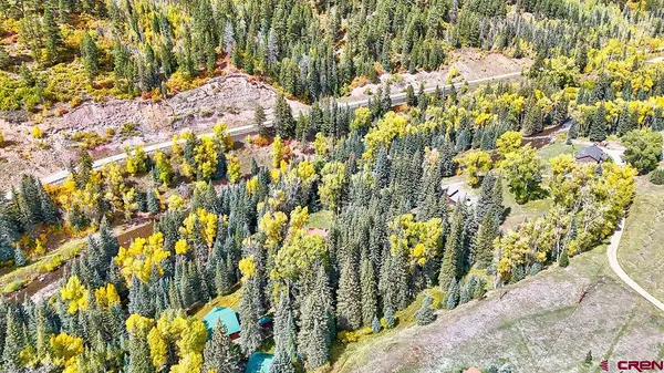 a view of a yard with plants and large trees
