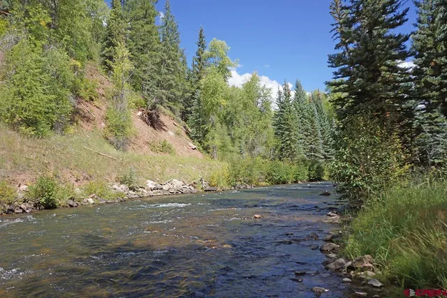 a view of yard with green space