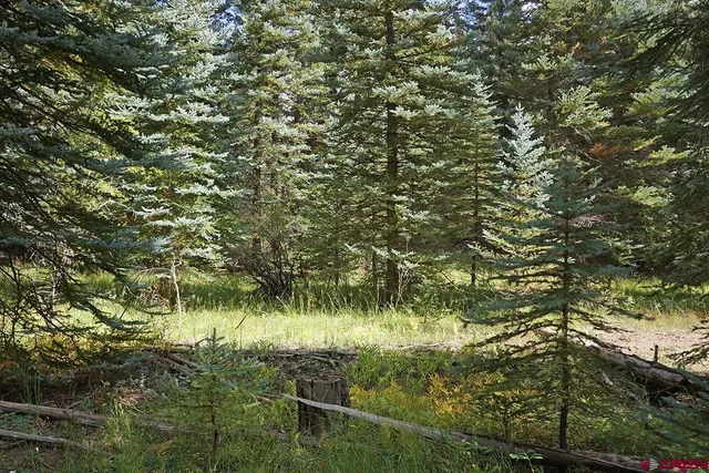 $779,000 | 12948 Road 44.2, Dolores, CO 81323