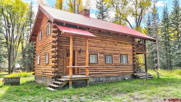 a view of a trees in a yard
