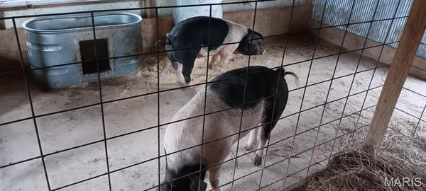 $459,000 | 6991 Ely Road, Hartville, MO 65667