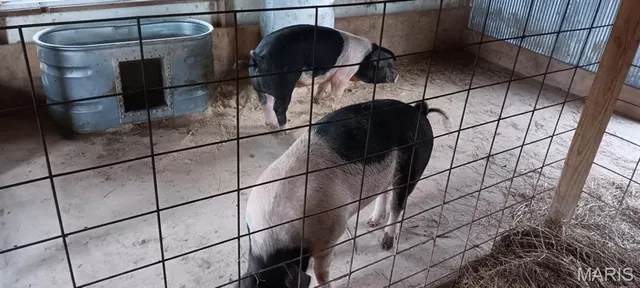 $459,000 | 6991 Ely Road, Hartville, MO 65667