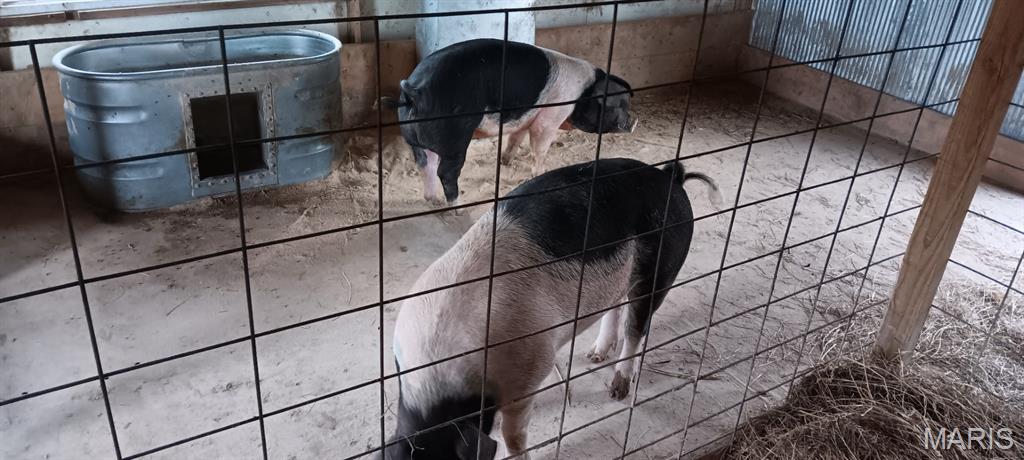 6991 Ely Road Hartville, MO 65667 - Photo 48 of 54