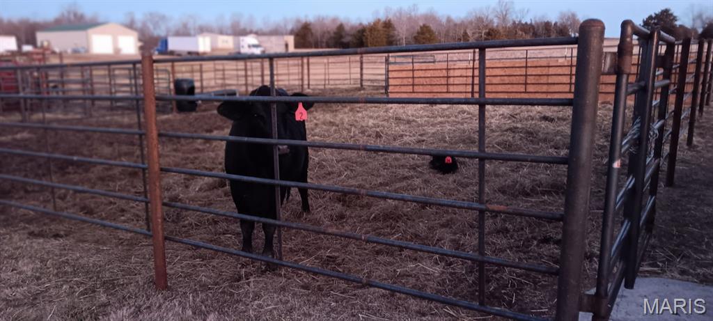 6991 Ely Road Hartville, MO 65667 - Photo 49 of 54