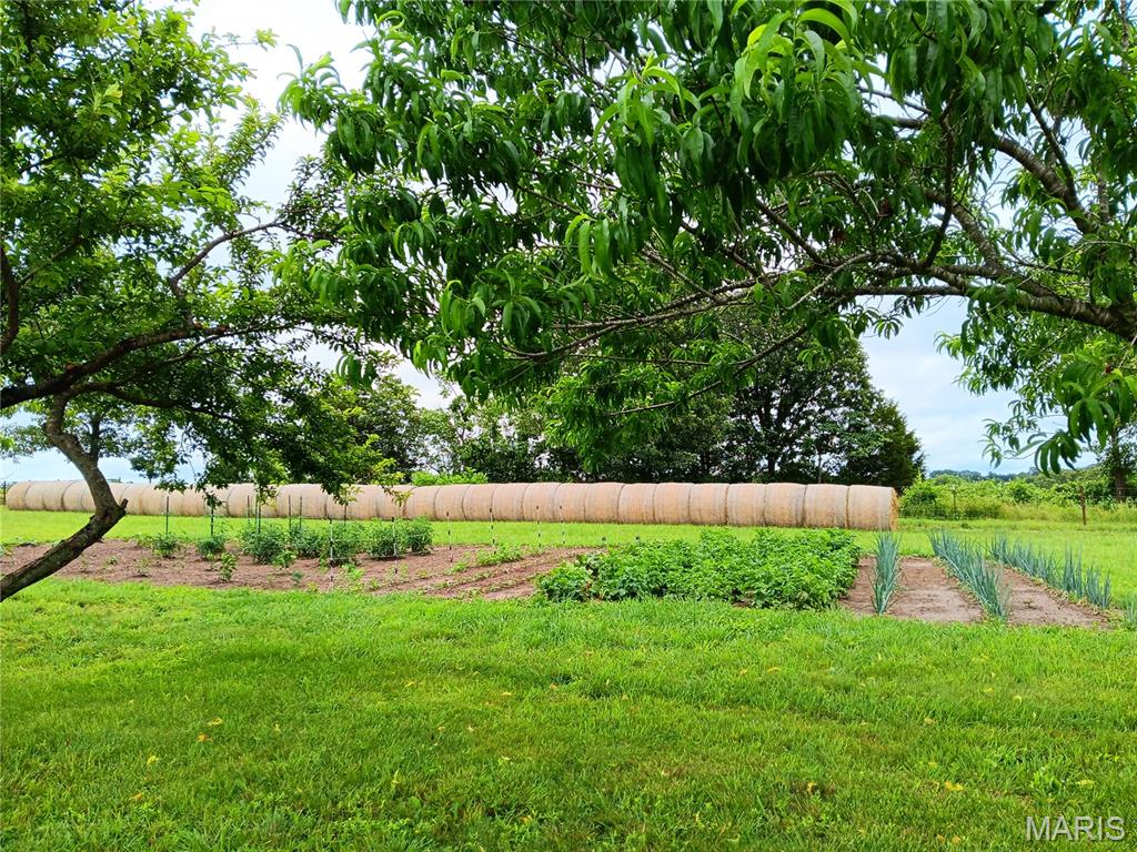 6991 Ely Road Hartville, MO 65667 - Photo 5 of 54