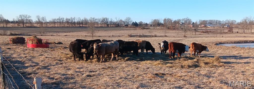 6991 Ely Road Hartville, MO 65667 - Photo 7 of 54