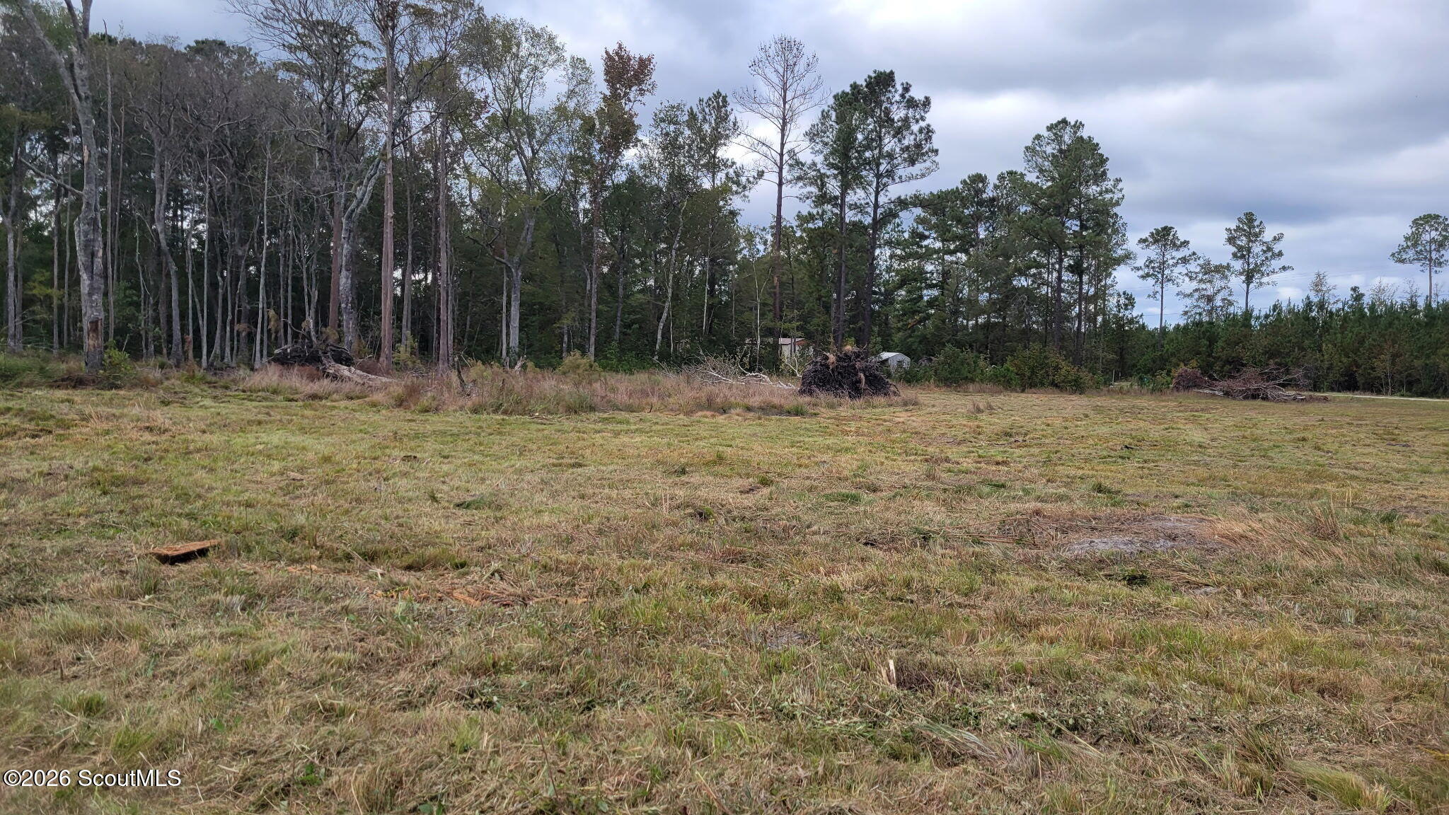 88 Rogers Break Road Jesup, GA 31546 - Photo 10 of 18 1748
