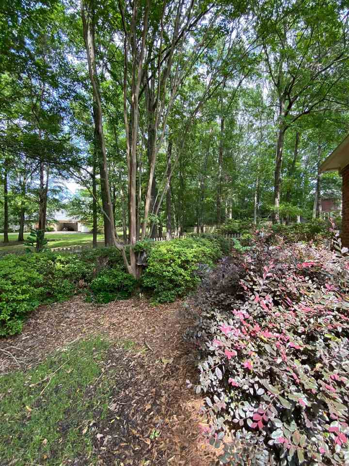 226 Winsmere Way Ridgeland, MS 39157 - Photo 27 of 48 Photo 27
