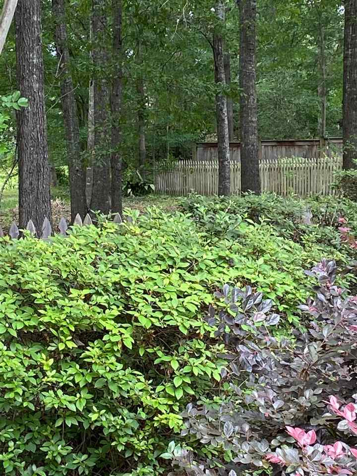 226 Winsmere Way Ridgeland, MS 39157 - Photo 38 of 48 Photo 38
