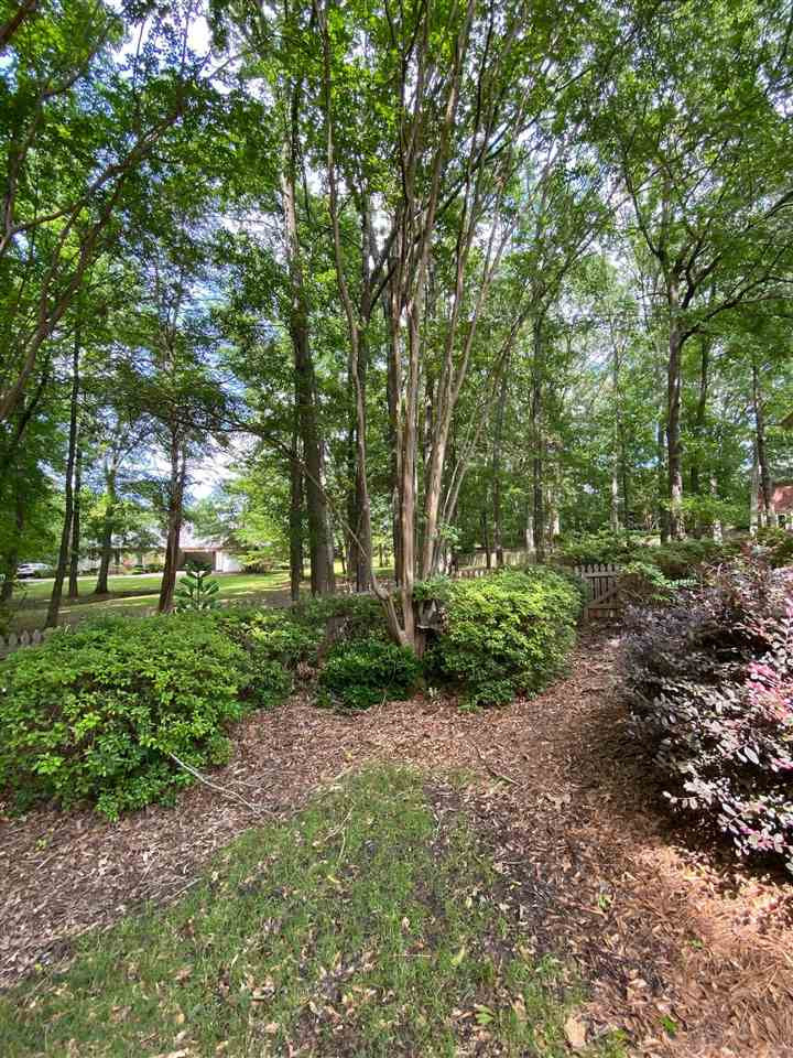 226 Winsmere Way Ridgeland, MS 39157 - Photo 45 of 48 Photo 45