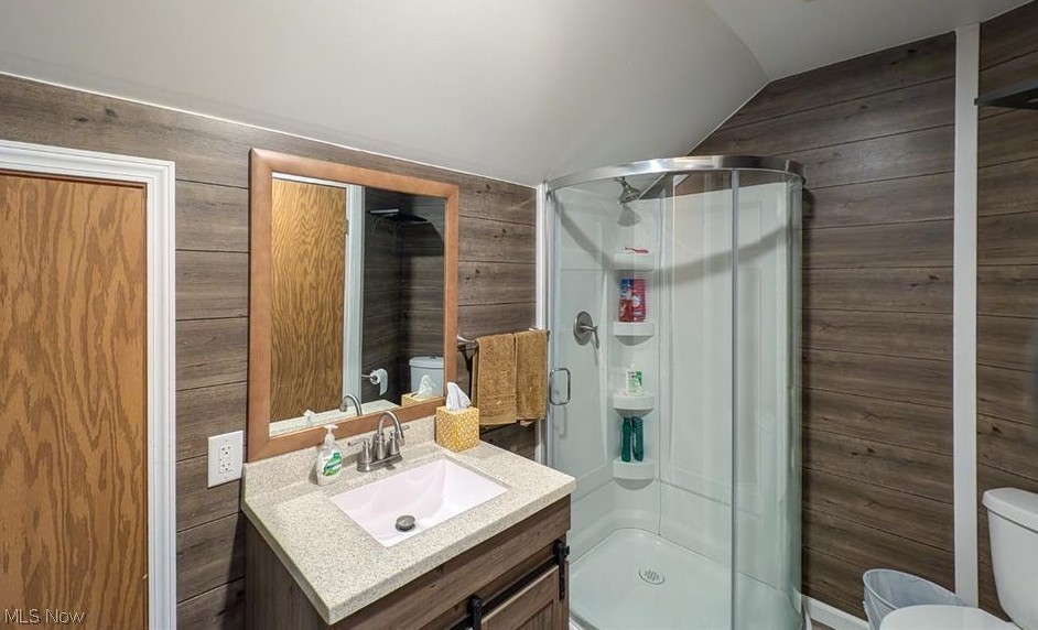 41 Poplar Street Huron, OH 44839 - Photo 19 of 37 Bathroom featuring wooden walls, vanity, a shower stall, and vaulted ceiling