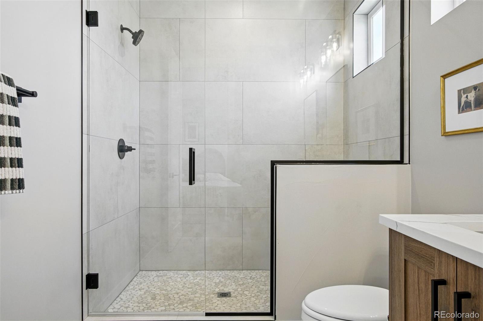 4121 Tejon Street Denver, CO 80211 - Photo 25 of 38 a bathroom with a toilet and a shower