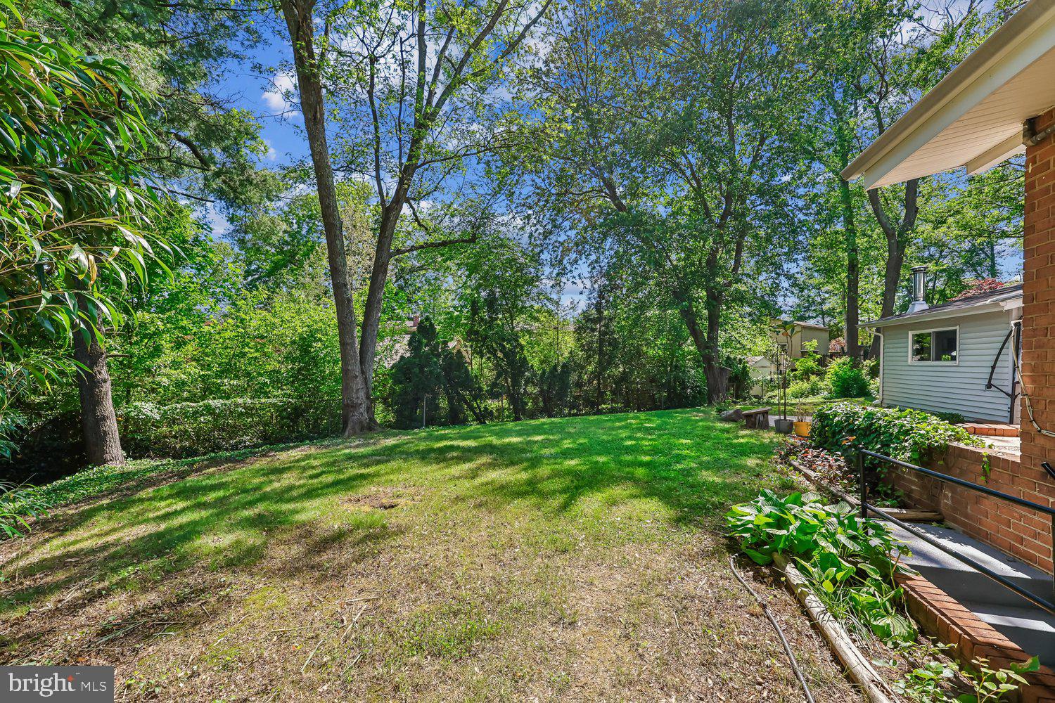 300 Gilsan Court Silver Spring, MD 20902 - Photo 27 of 117 a view of a backyard with large trees