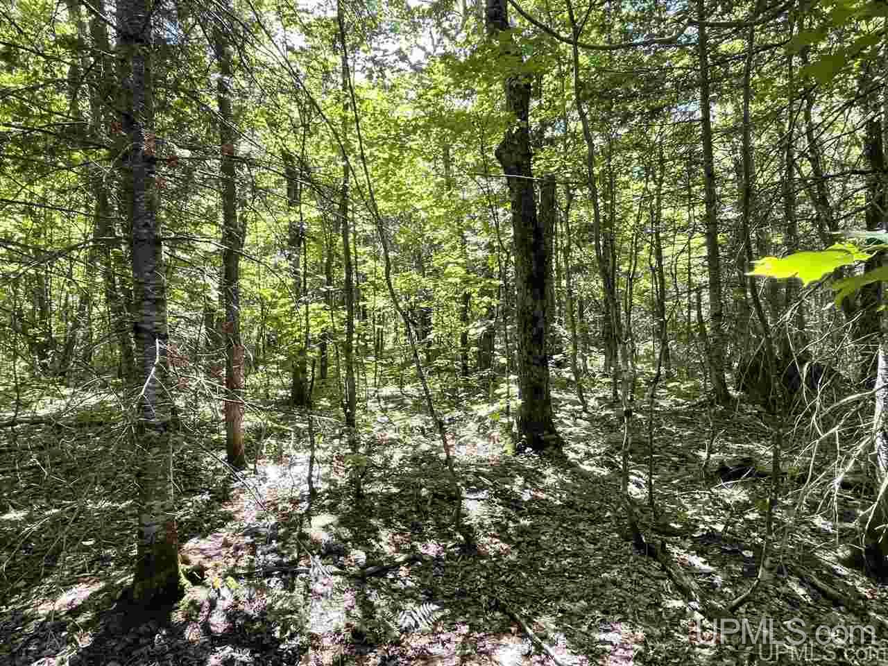14822 North Sunken Lake Road Seney, MI 49883 - Photo 5 of 41
