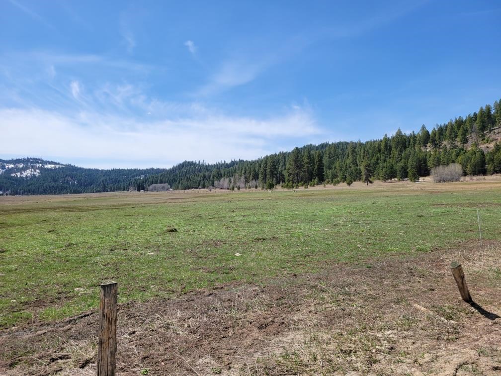 Tbd Gray Lane Cascade, ID 83611 - Photo 2 of 10 Septic approved