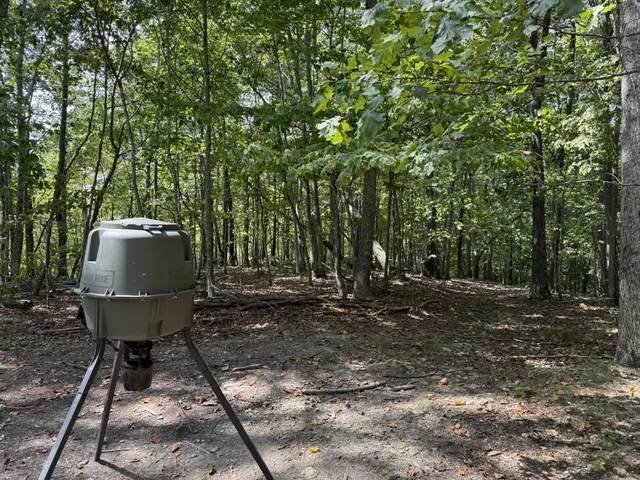 a view of a chairs and table in the backyard