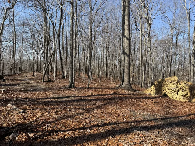 $168,500 | 0 Spence Lane, Hilham, TN 38568