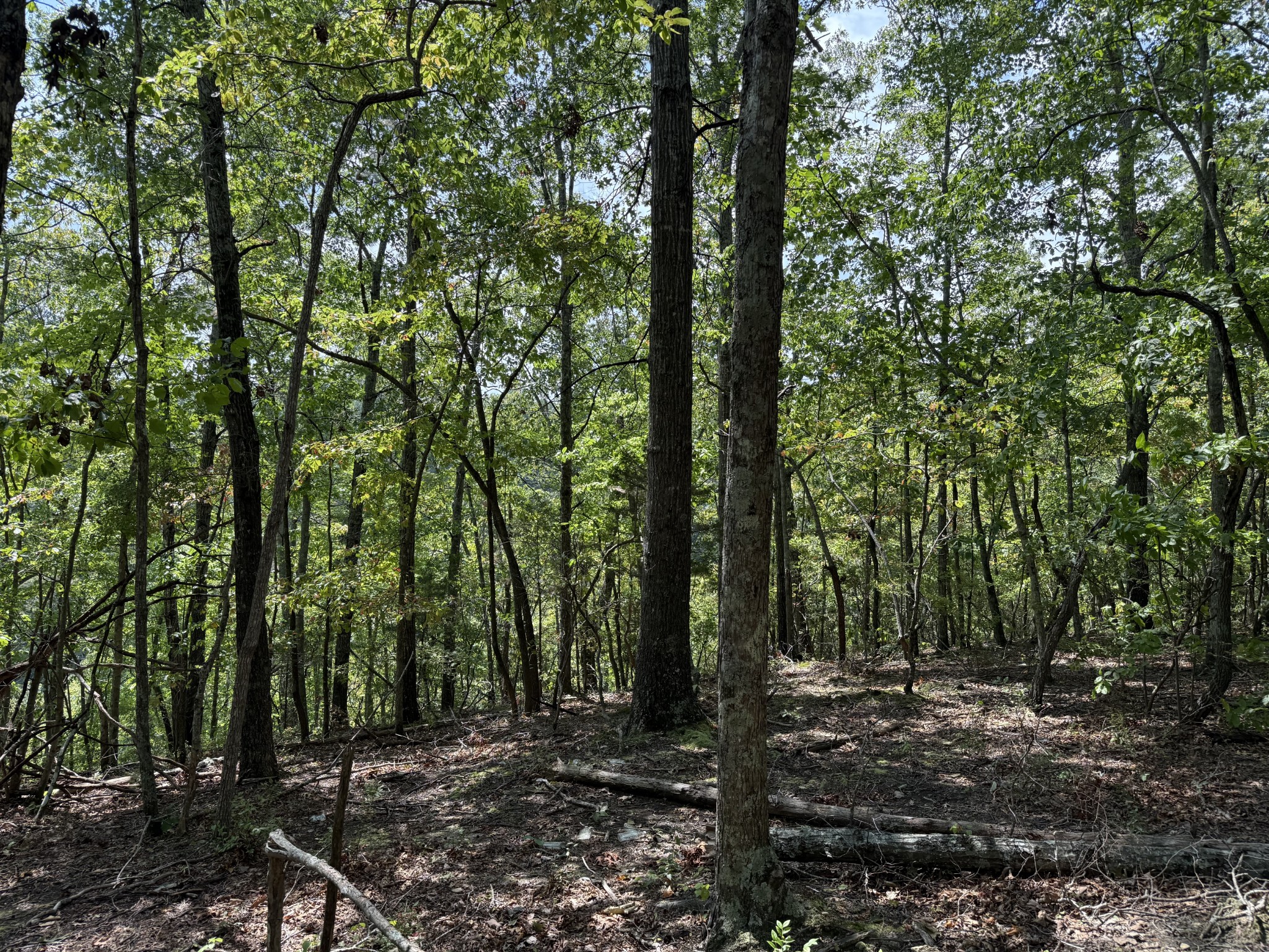 0 Spence Lane Hilham, TN 38568 - Photo 11 of 31 a view of outdoor space and green space