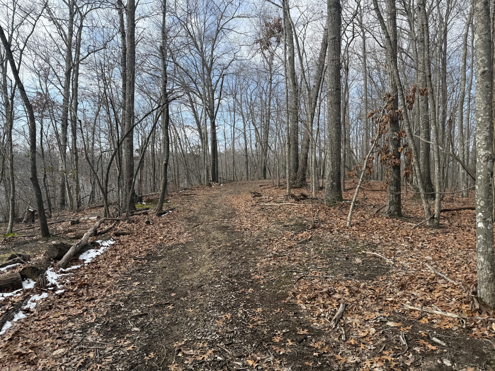 0 Spence Lane Hilham, TN 38568 - Photo 12 of 31 a view of outdoor space with trees