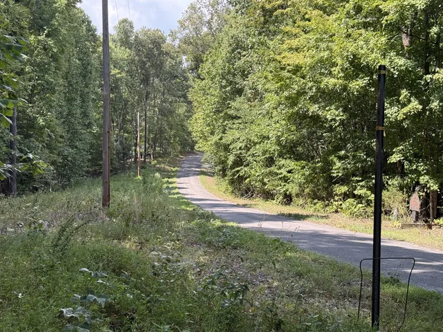 a view of a yard with a tree