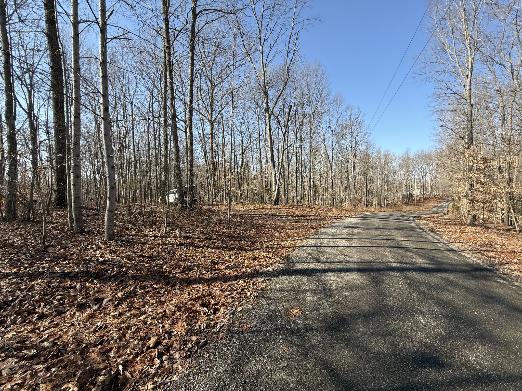 0 Spence Lane Hilham, TN 38568 - Photo 14 of 31 a view of outdoor space with trees