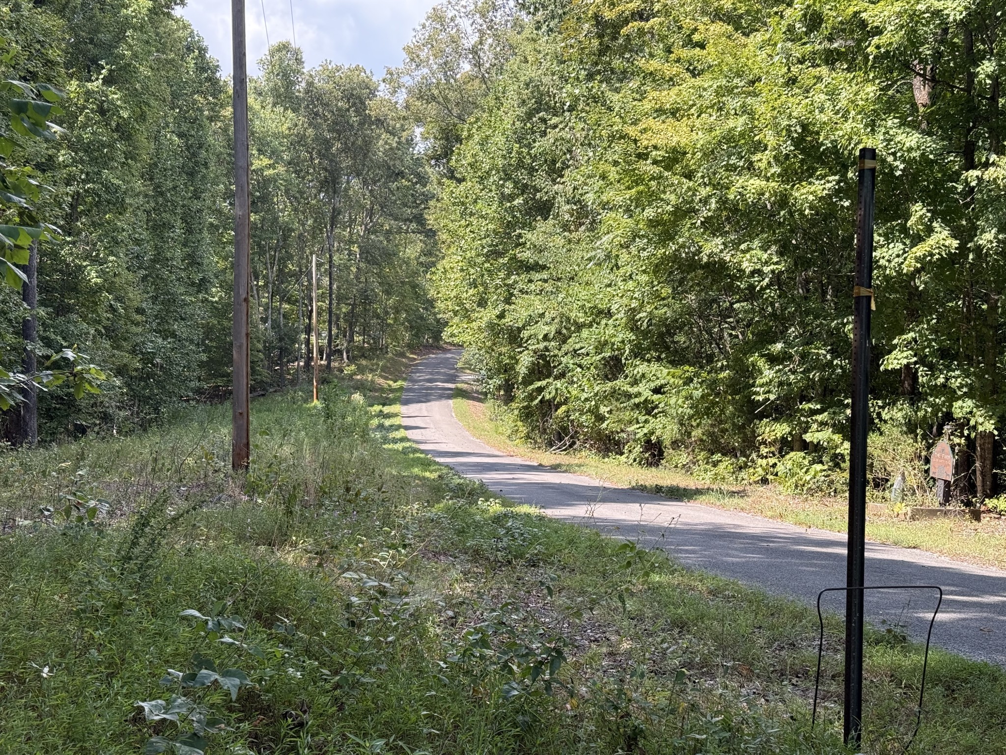 0 Spence Lane Hilham, TN 38568 - Photo 15 of 31 a view of a yard with a tree