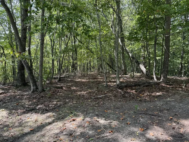 a view of outdoor space with lots of trees