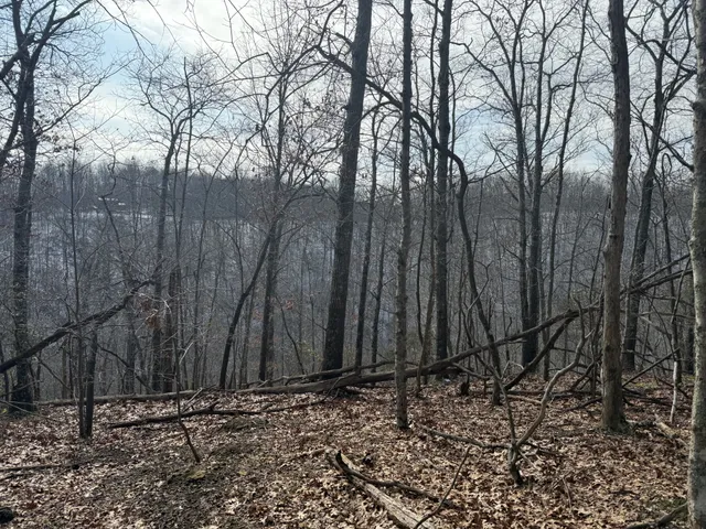 a view of a backyard of the house