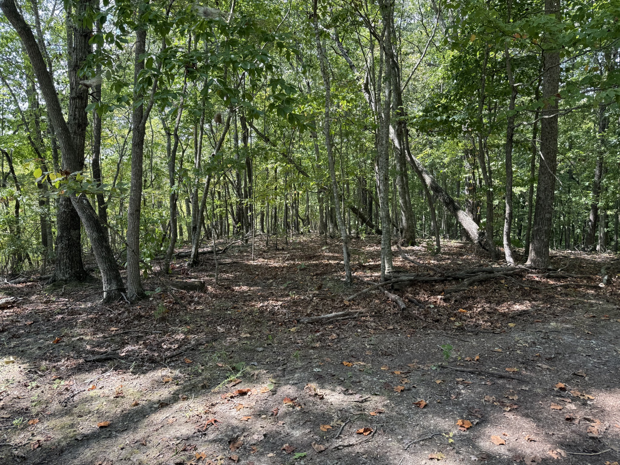 0 Spence Lane Hilham, TN 38568 - Photo 18 of 31 a view of outdoor space with lots of trees