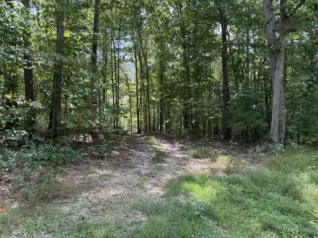 a view of outdoor space and trees