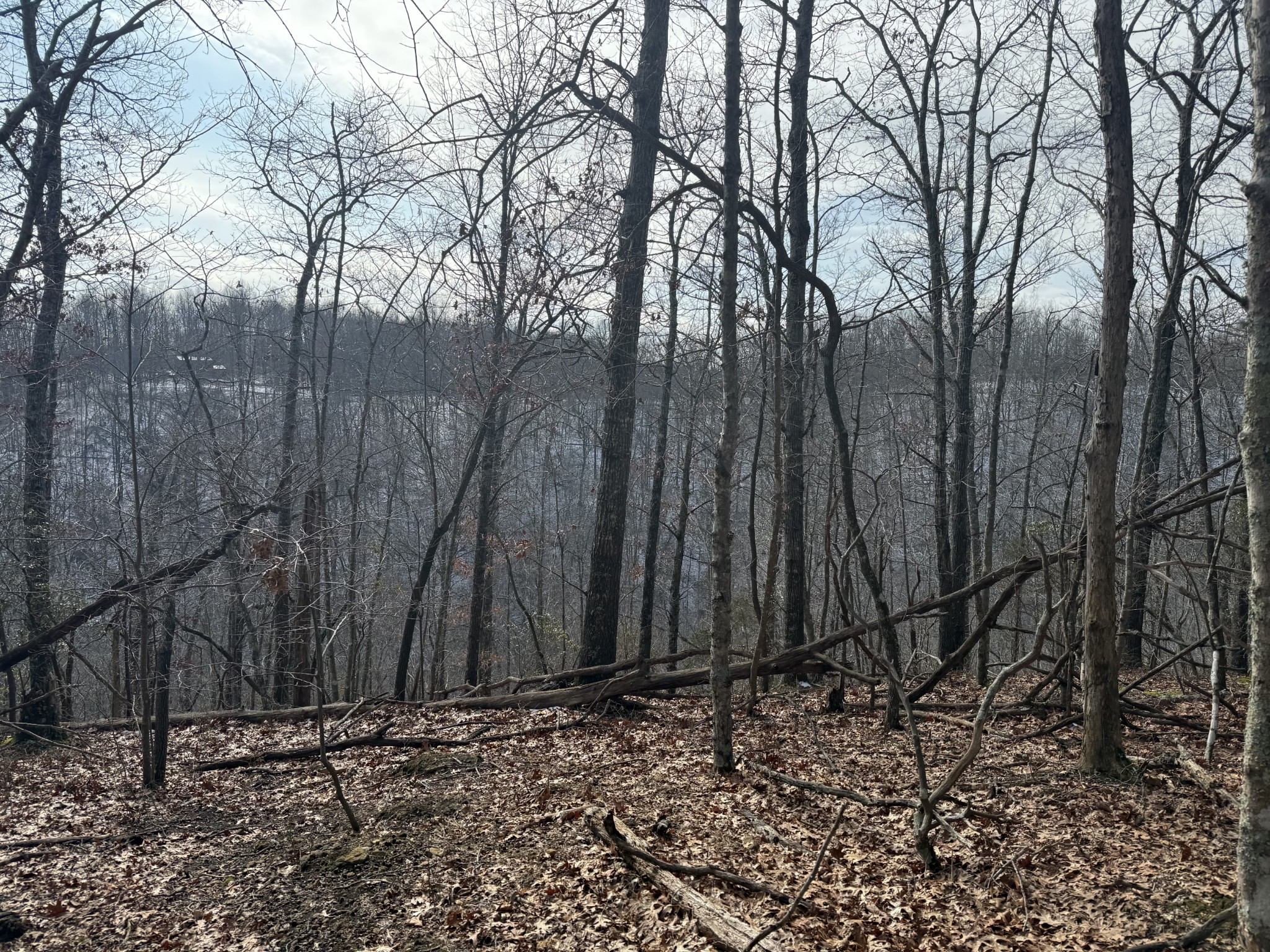 0 Spence Lane Hilham, TN 38568 - Photo 20 of 31 a view of a backyard of the house