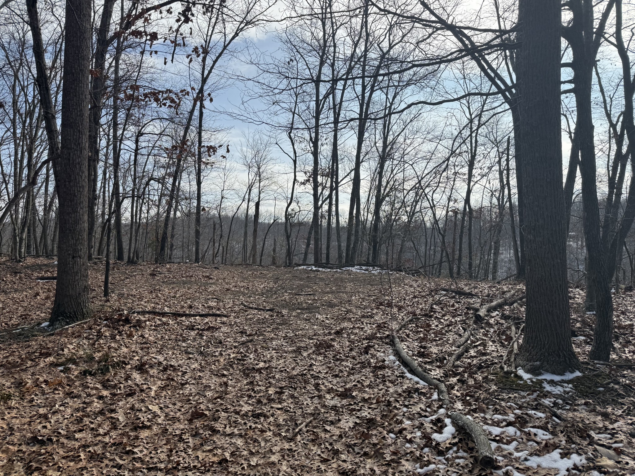 0 Spence Lane Hilham, TN 38568 - Photo 2 of 31 a view of a backyard with large trees