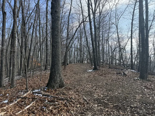 a view of outdoor space with green space
