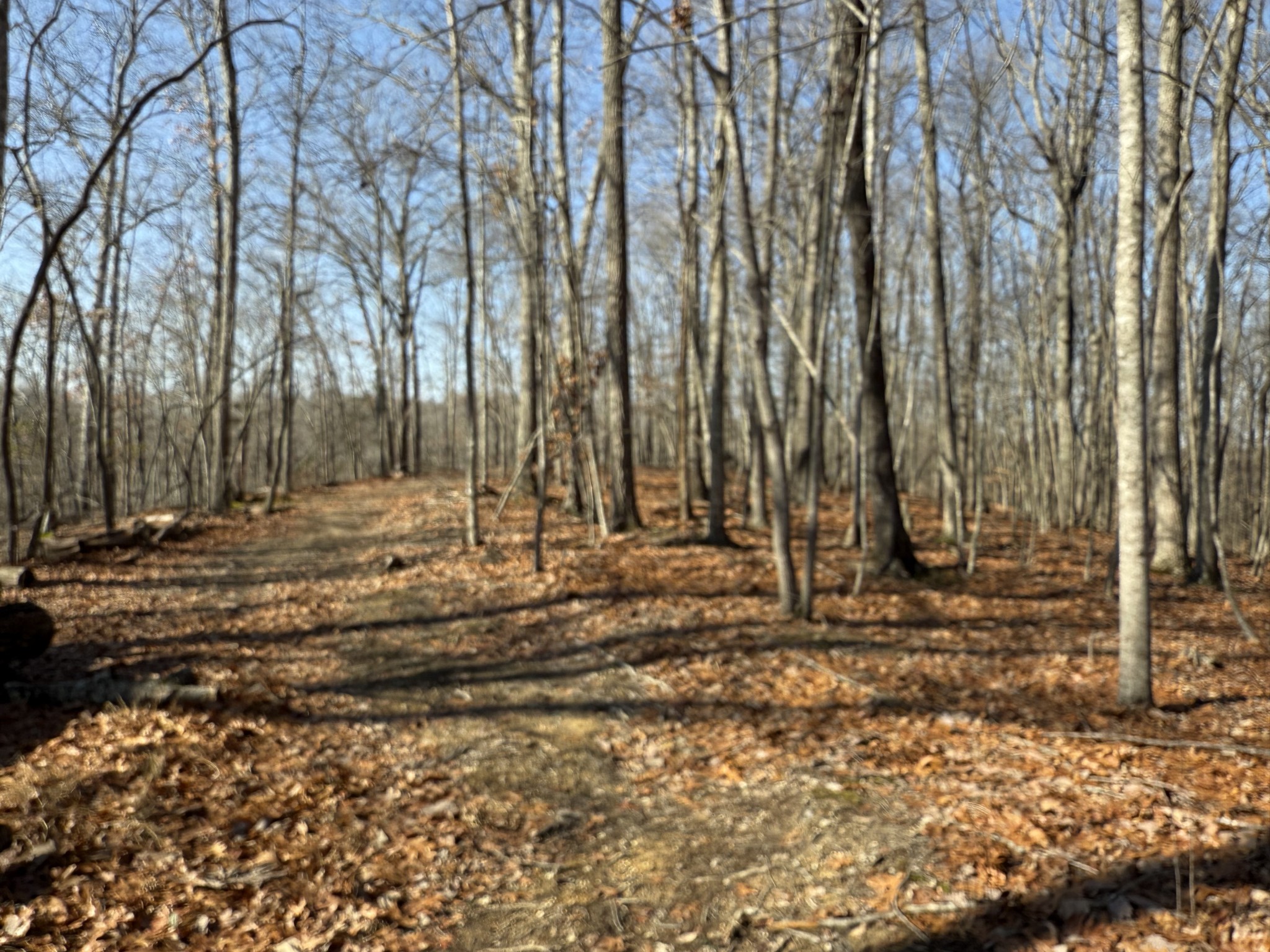 0 Spence Lane Hilham, TN 38568 - Photo 22 of 31 a view of outdoor space with trees