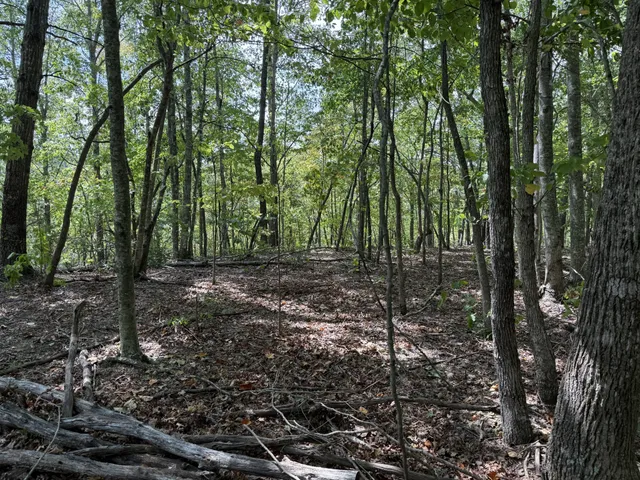 a view of outdoor space and trees
