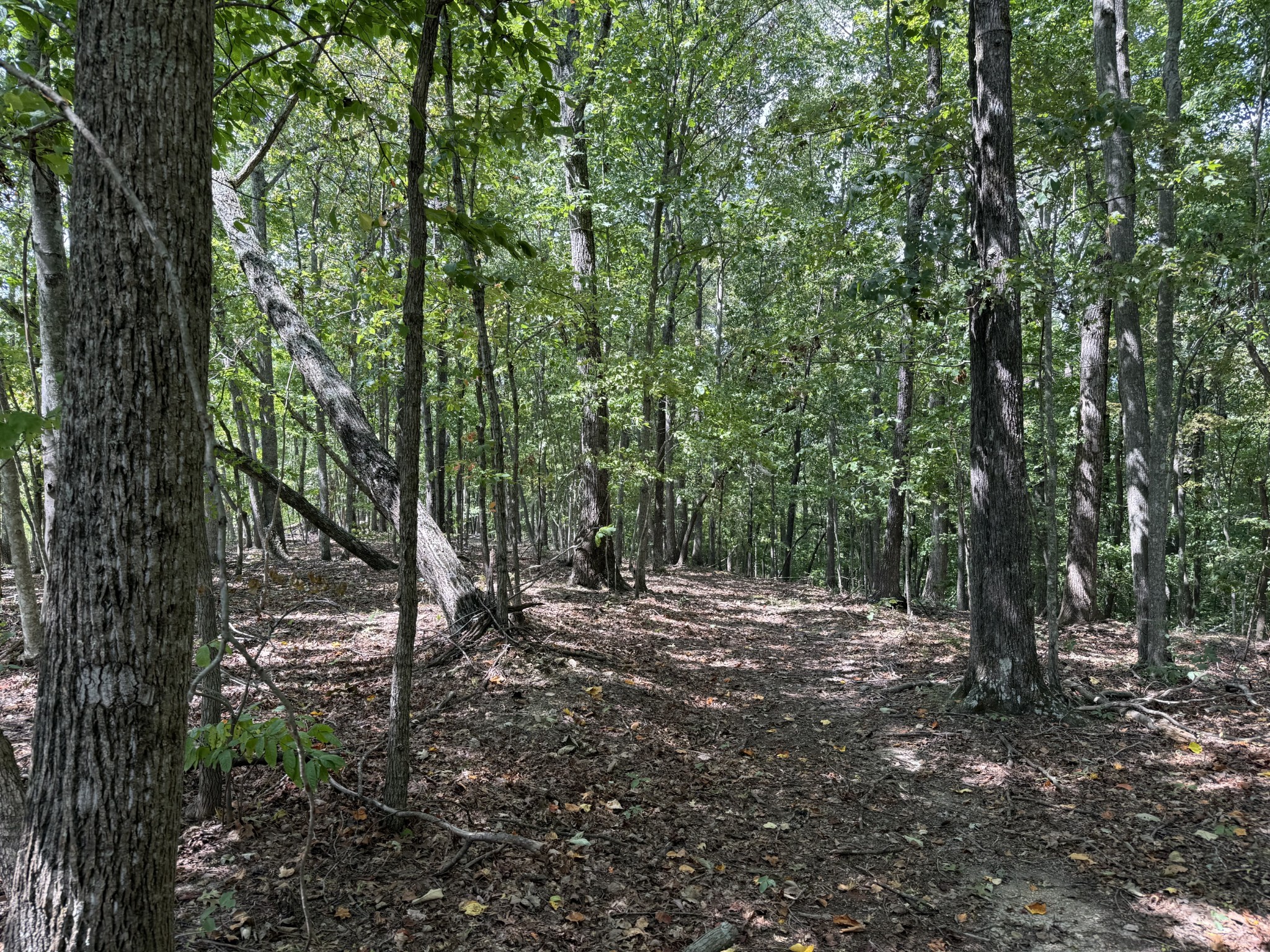 0 Spence Lane Hilham, TN 38568 - Photo 27 of 31 a view of outdoor space and trees