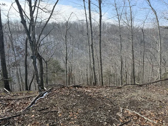a view of a backyard of the house