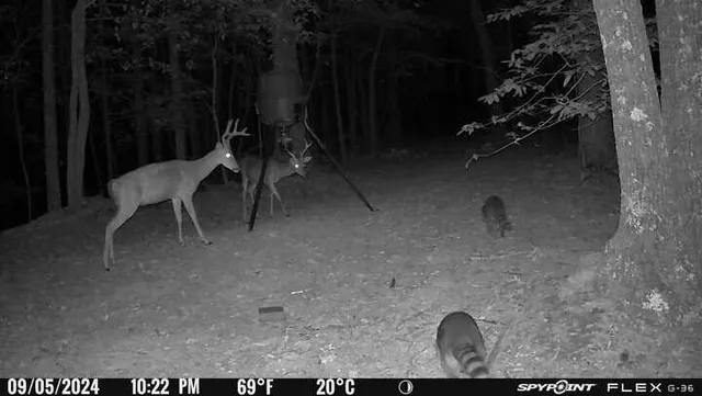 a view of outdoor seating space