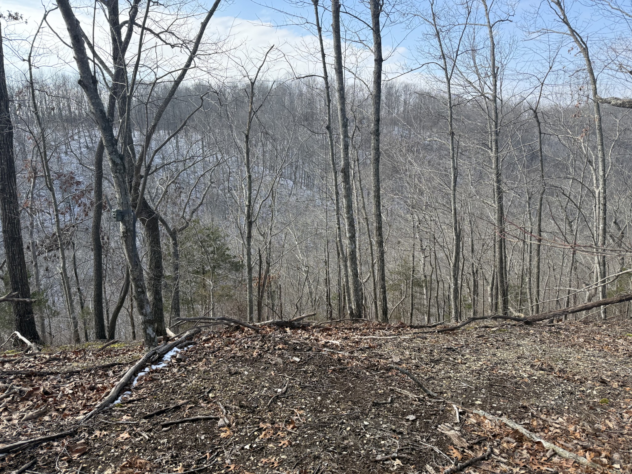 0 Spence Lane Hilham, TN 38568 - Photo 5 of 31 a view of a backyard of the house