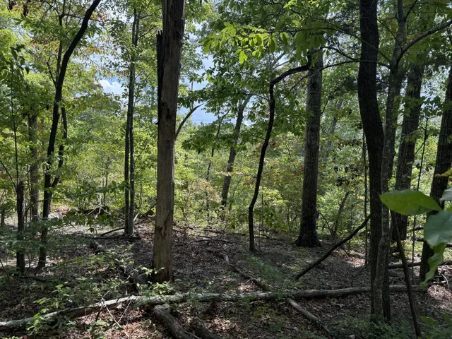 a view of outdoor space and green space