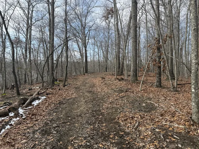 a view of outdoor space with trees