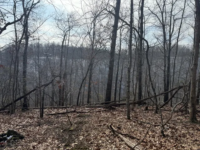 a view of a backyard of the house