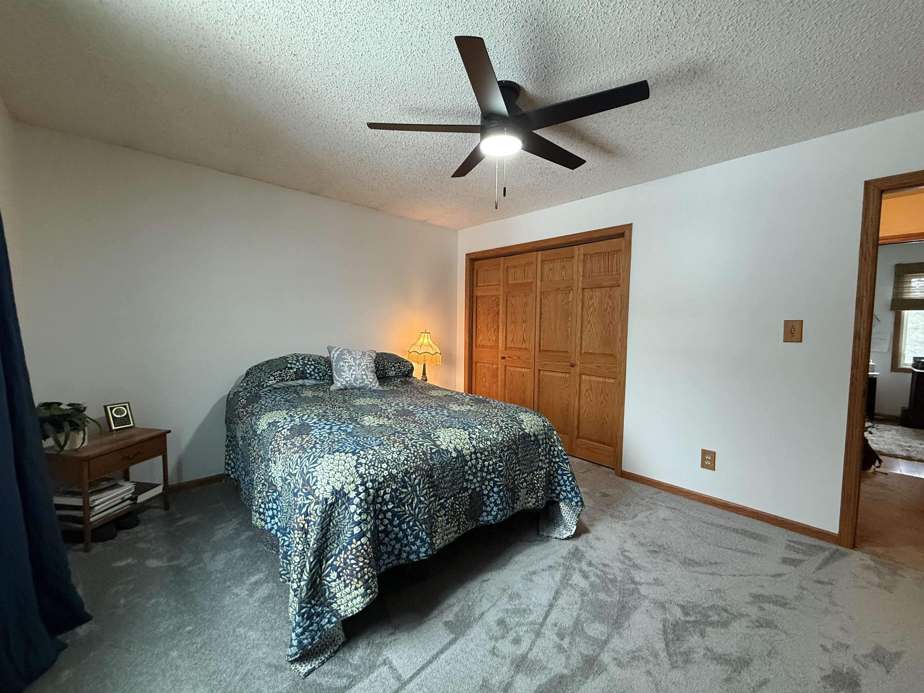 3991 Dillon Road Hibbing, MN 55746 - Photo 21 of 25 Carpeted bedroom featuring a textured ceiling, ceiling fan, and a closet
