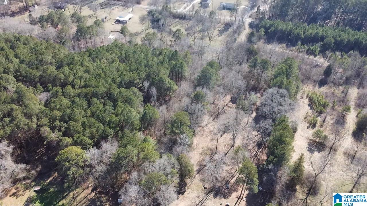 2161 Odens Mill Road Sylacauga, AL 35151 - Photo 8 of 17 Gallery Image 8
