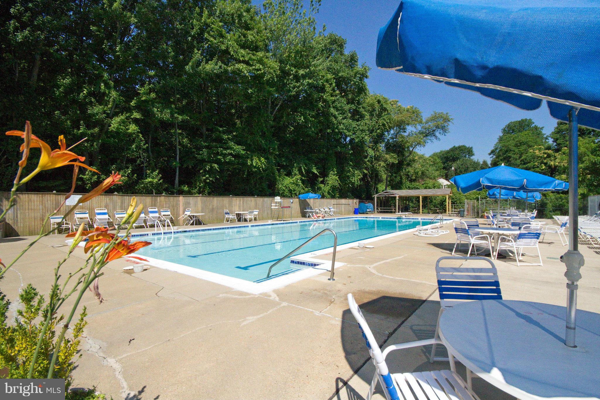 405 Sumner Road Annapolis, MD 21401 - Photo 28 of 30 Community Pool & Swim Team