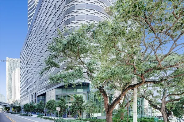 a tall tree in middle of the building