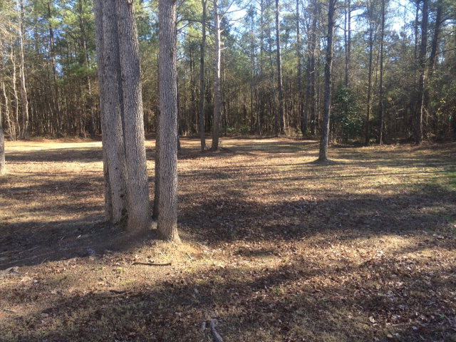 327 Rainsford Road Edgefield County, SC 29824 - Photo 11 of 18