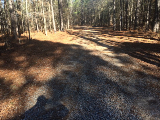 327 Rainsford Road Edgefield County, SC 29824 - Photo 16 of 18