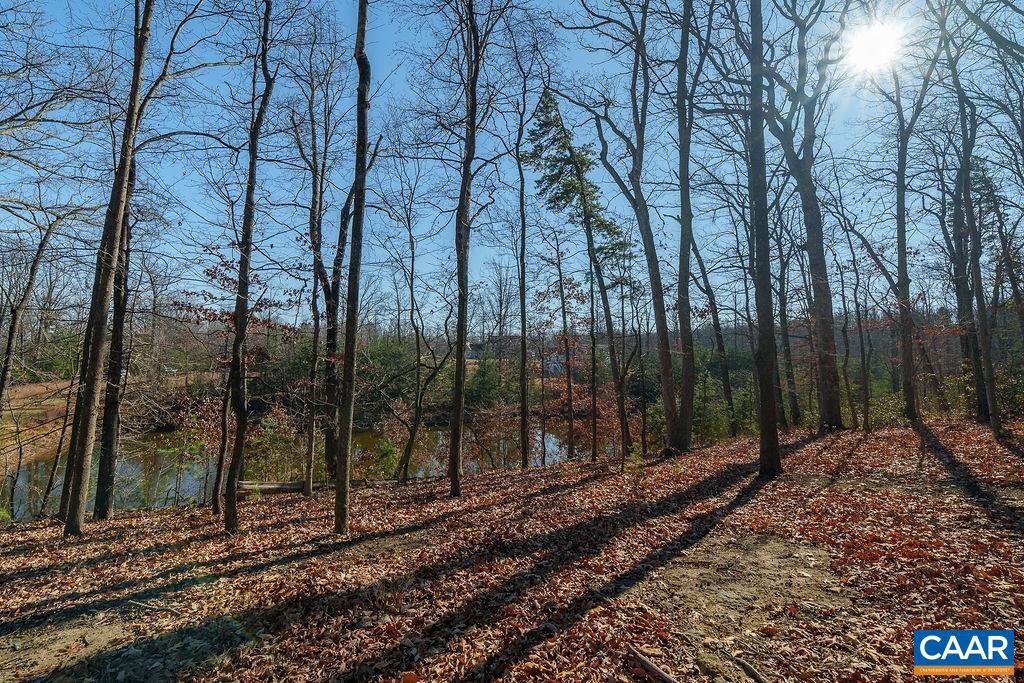 Lot 2 Handley Way, Unit 2 Afton, VA 22920 - Photo 5 of 33