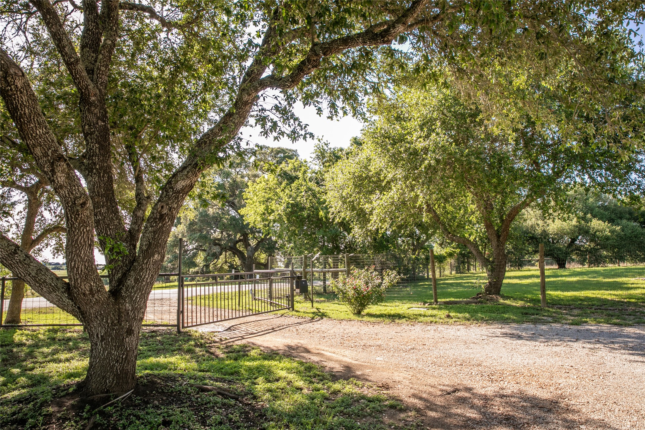 8660 Cedar Hill Road Brenham, TX 77833 - Photo 2 of 45